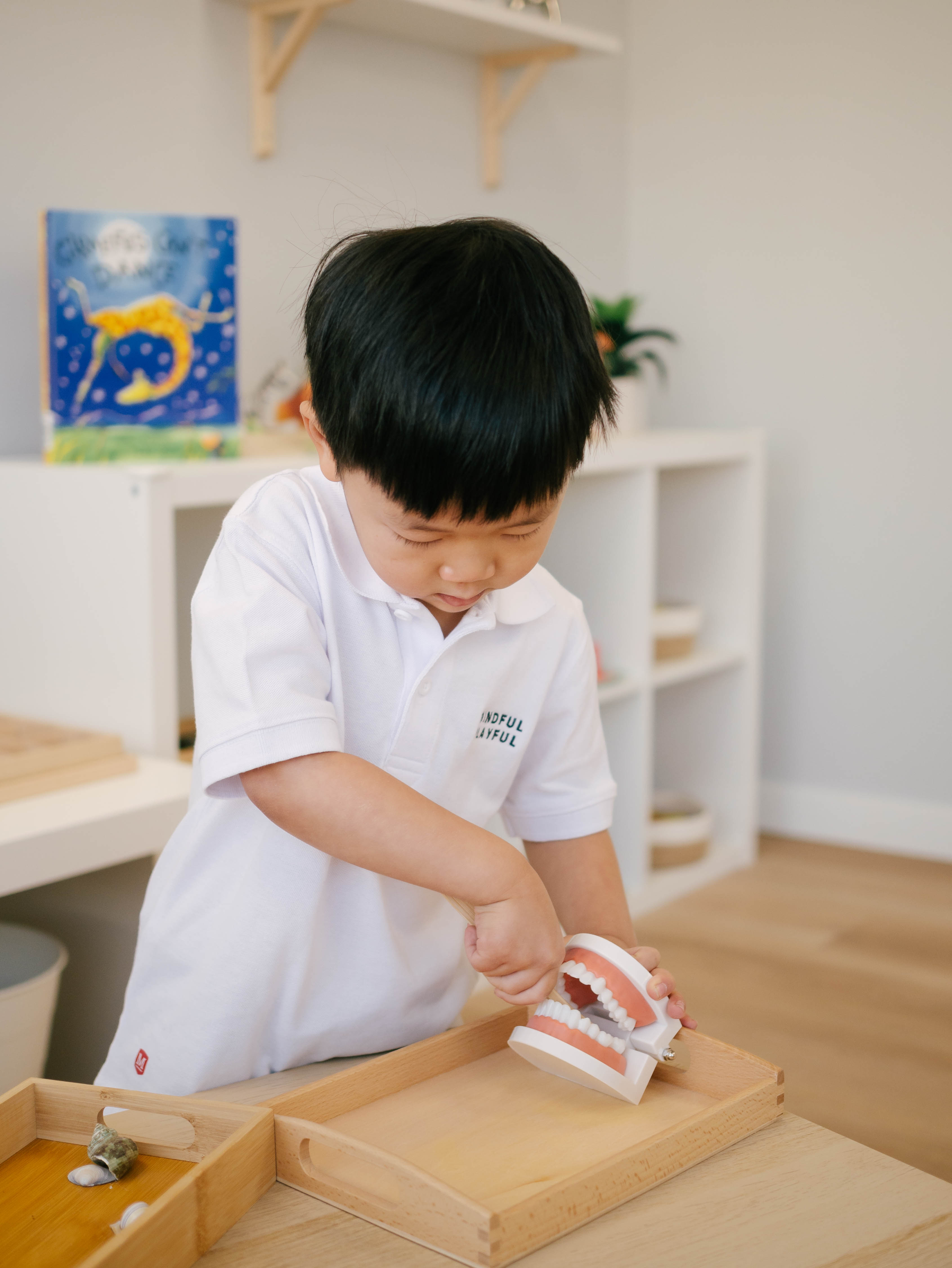 Boy focused on hands-on learning activity